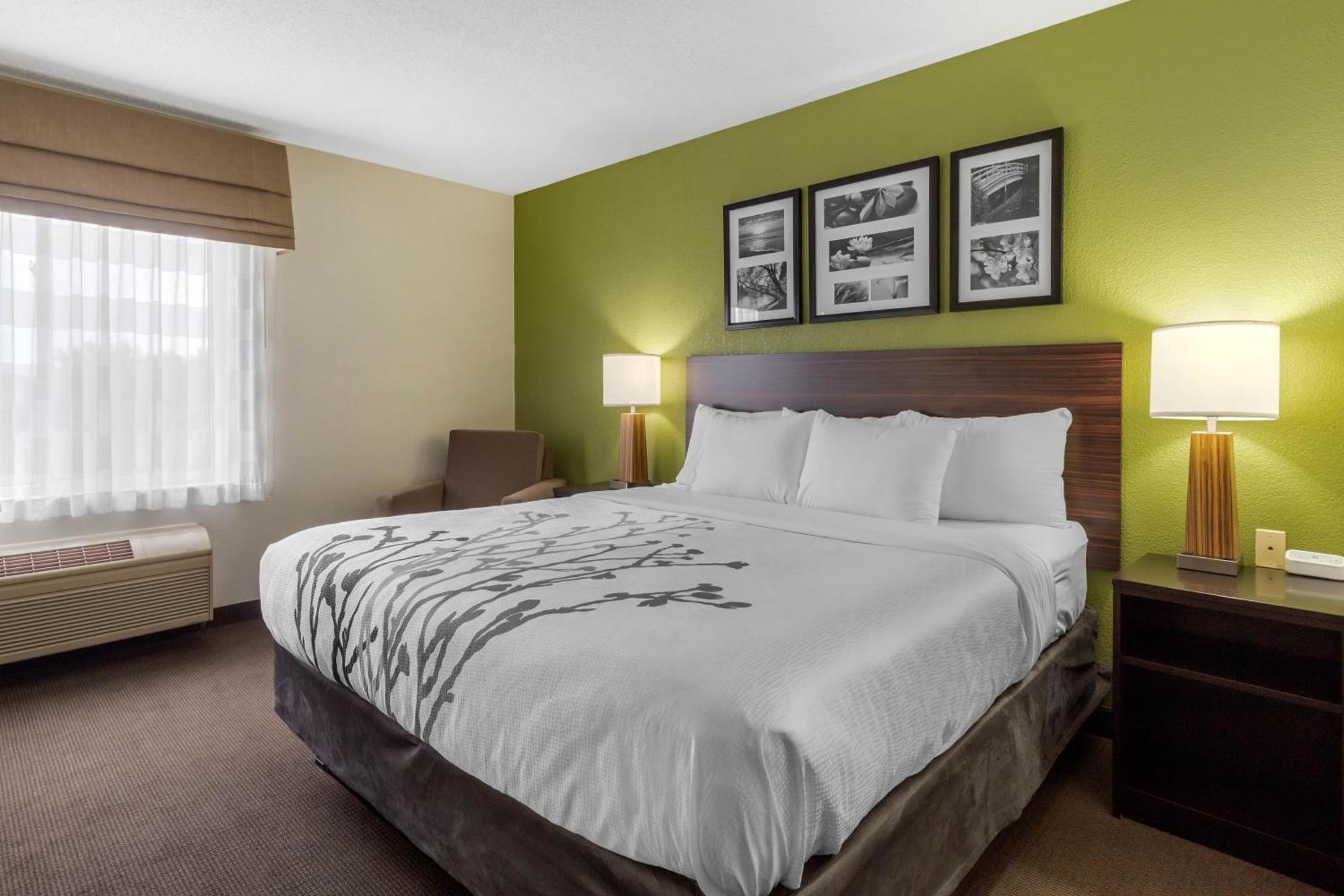 Sleep Inn & Suites Allendale Δωμάτιο φωτογραφία